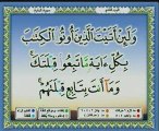 sourate bakara ayat 142 à 186 Saad ghamidi 1 sur2  cd 2/30