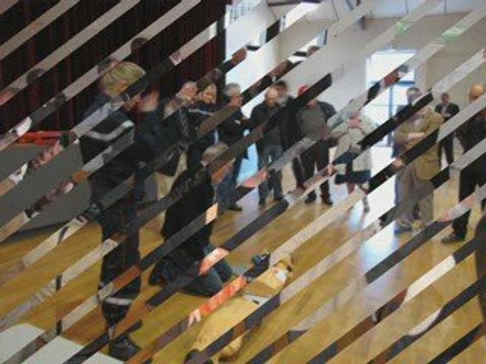 LEADER DEFIBRILLATEUR