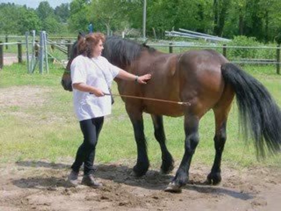 Loulou 18 mai 2009