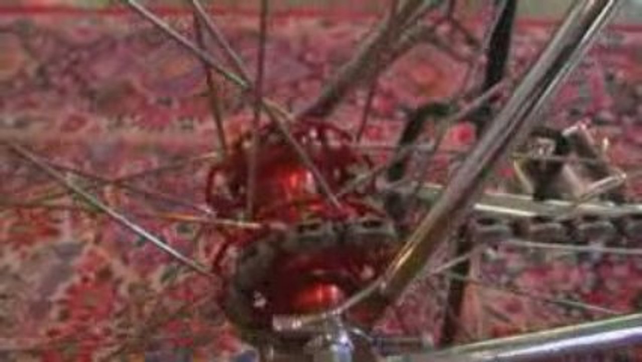 Fixie1