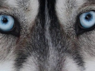 Otxoa's team saison 20082009