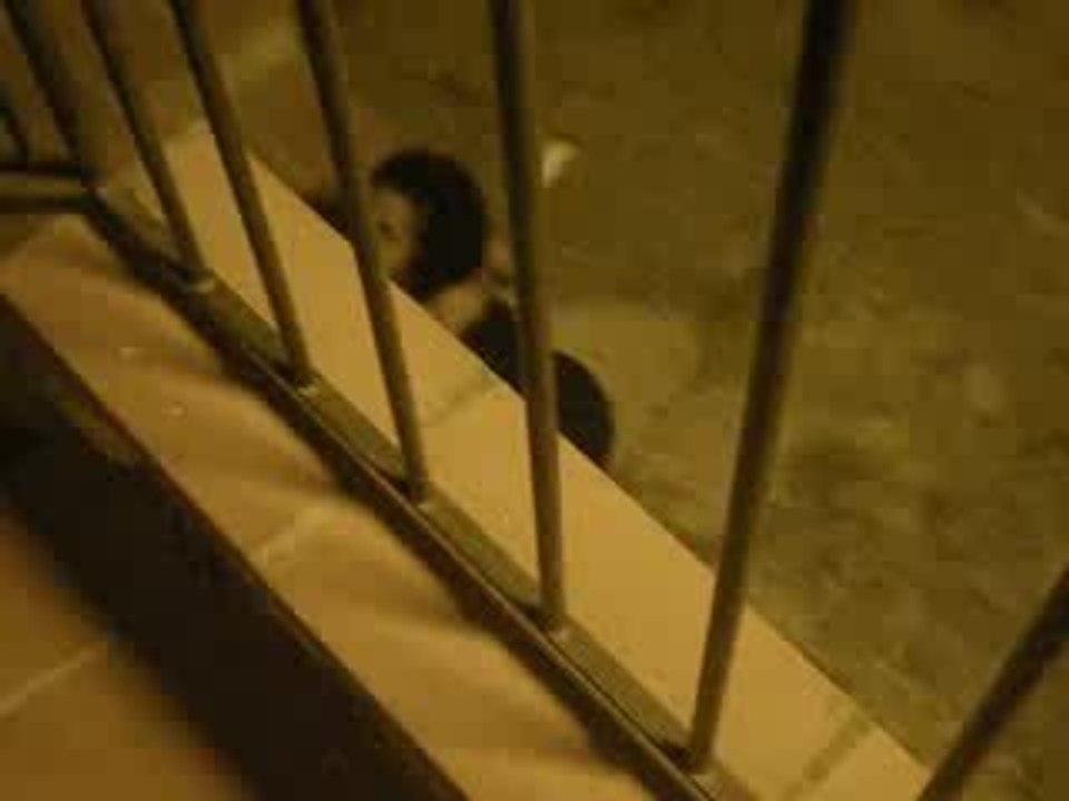 miaou