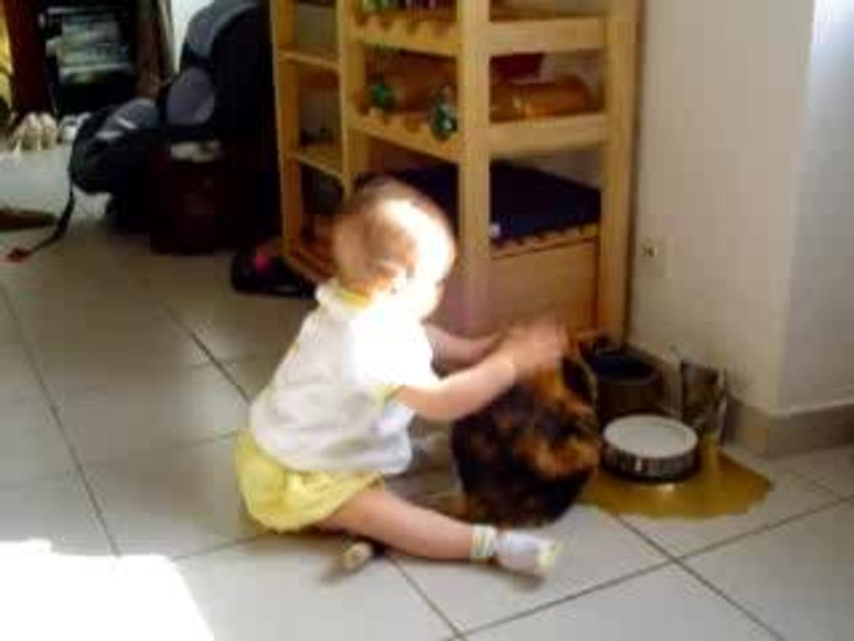 Calin au chat le retour
