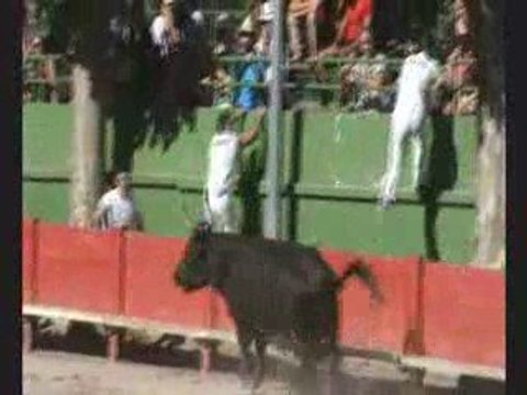 Complète Manade Ricard le 16 Mai 2009 à Aigues-Vives