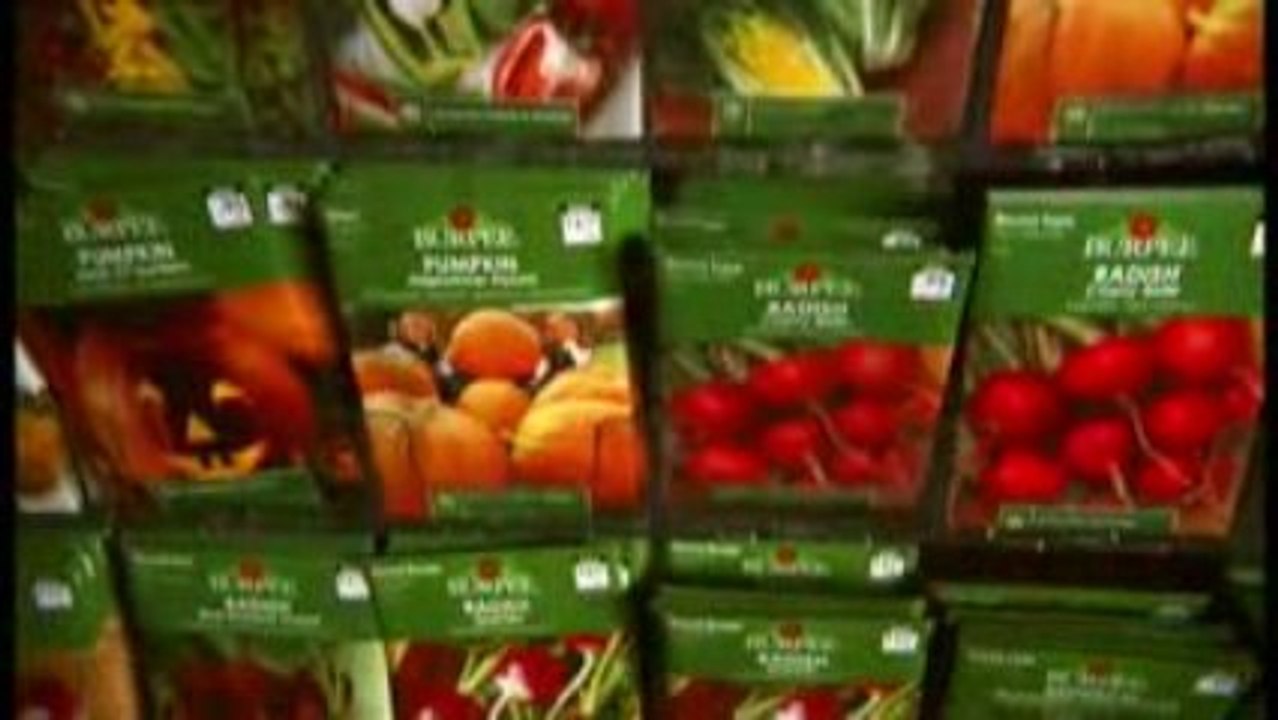 How to Plant a Garden in a Raised Bed - The Home Depot