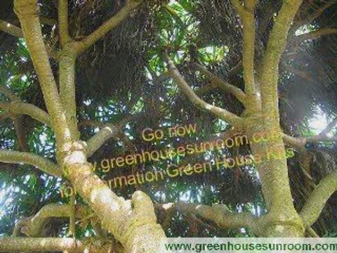 Greenhouse Kits, How To Build A Greenhouse