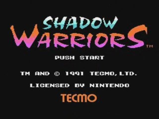 Shadow Warriors