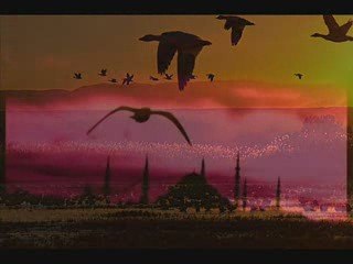 Kuşlar-ömer karaoğlu