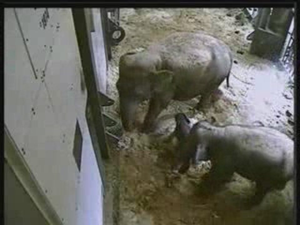 Kai-Mook al pubblico