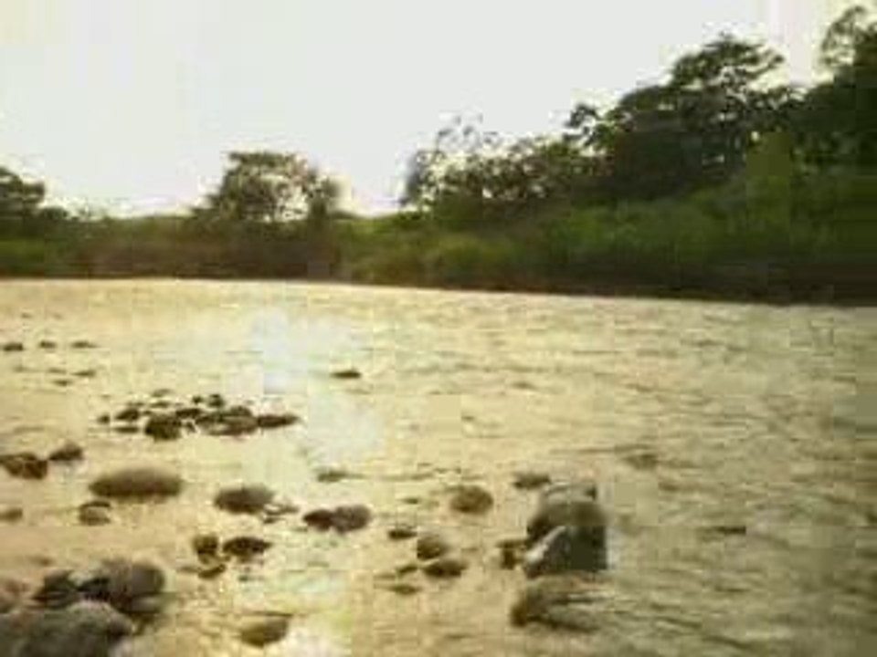 Piquer une tete