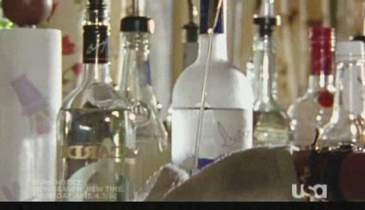 Burn Notice Season 3 - Meet Fiona