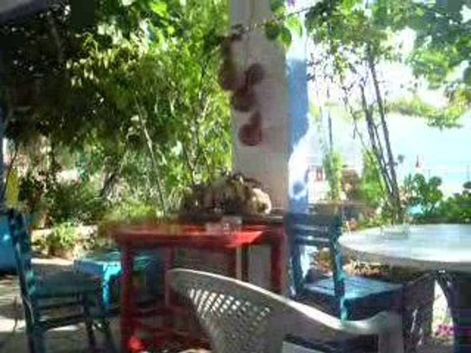 DSCN2288