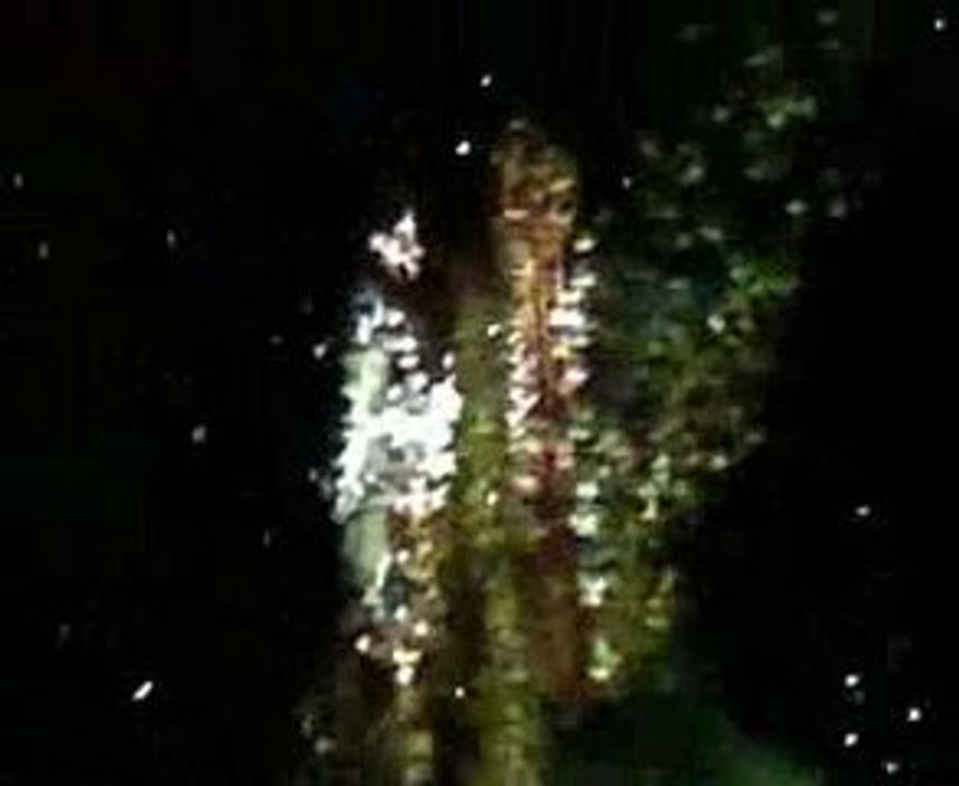 BEYONCE . KNOWLES IN PARIS/BERCY LE O5 MAI 2OO9