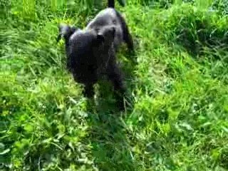 séance de jeux pour elya