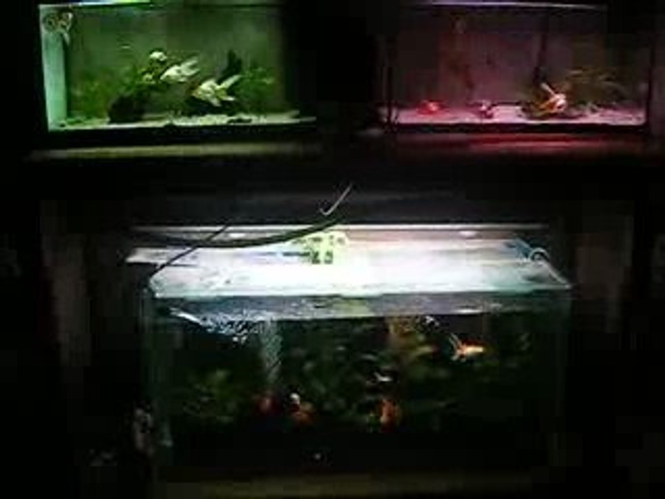 Ma batterie de 3 bacs