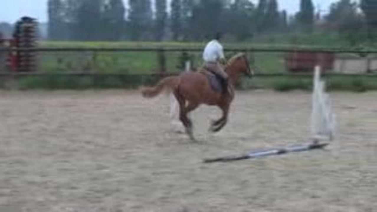 Quita 13-05-2009 5