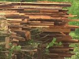 Champagne Ardenne : Développer le chauffage au bois