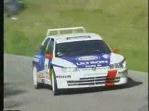 Rallye best of - Gilles Panizzi - 306 Maxi
