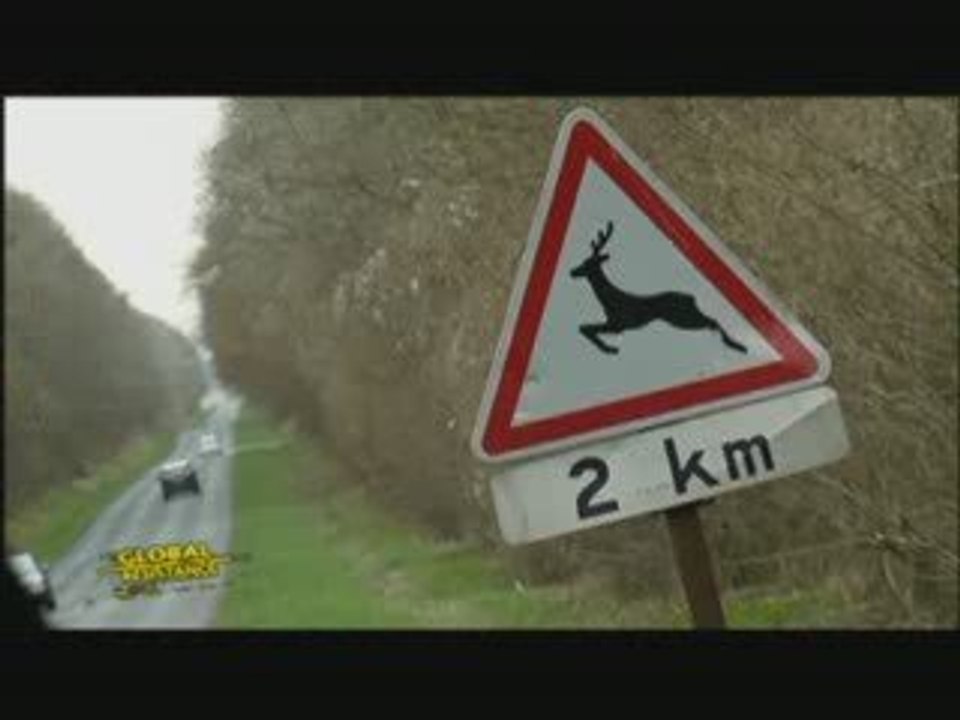 ❤ Finalement ça Cerf...❤.