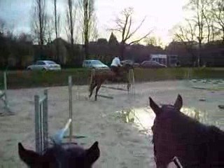 Je, je, suis Libertine...