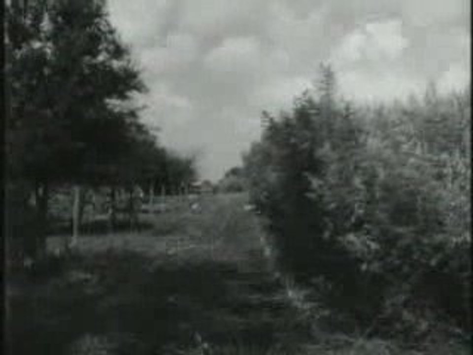Hemp For Victory