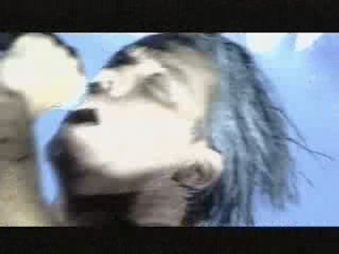 Rammstein - Tier (Live aus Berlin)