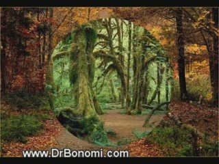 Video 33 EL SECRETO en youtube, pelicula, video, dvd, tv