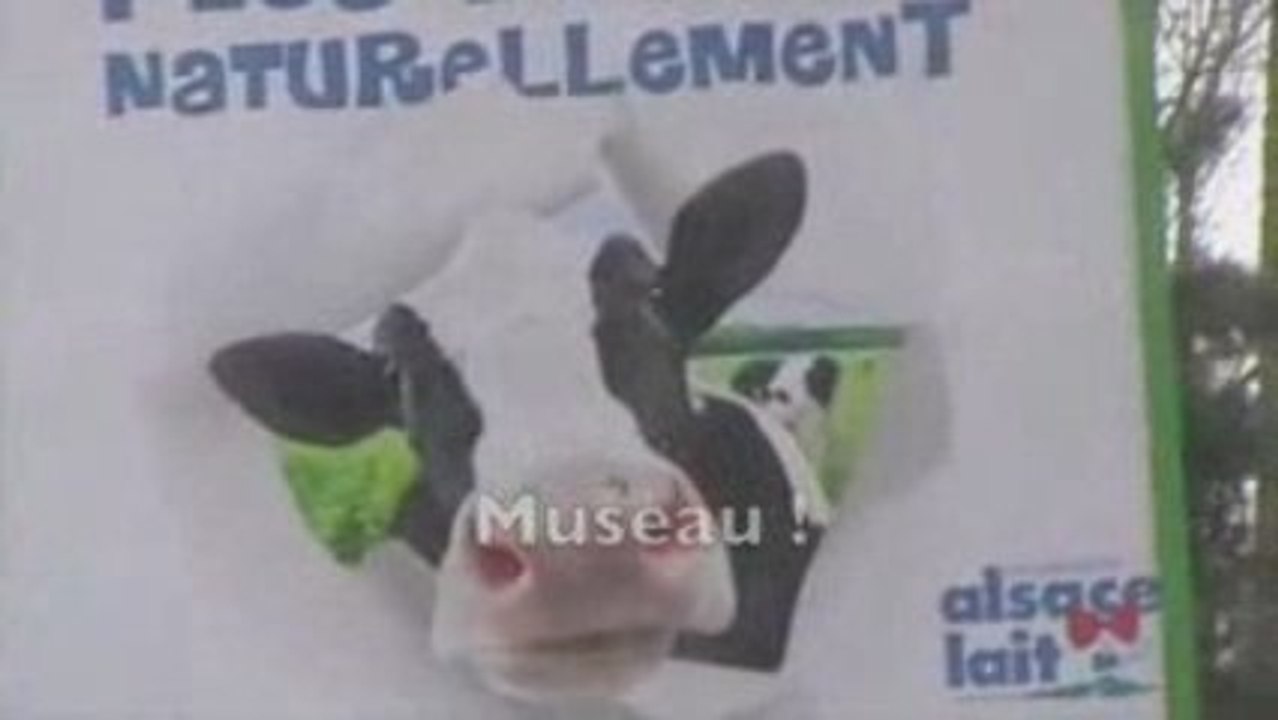 La MUSAU
