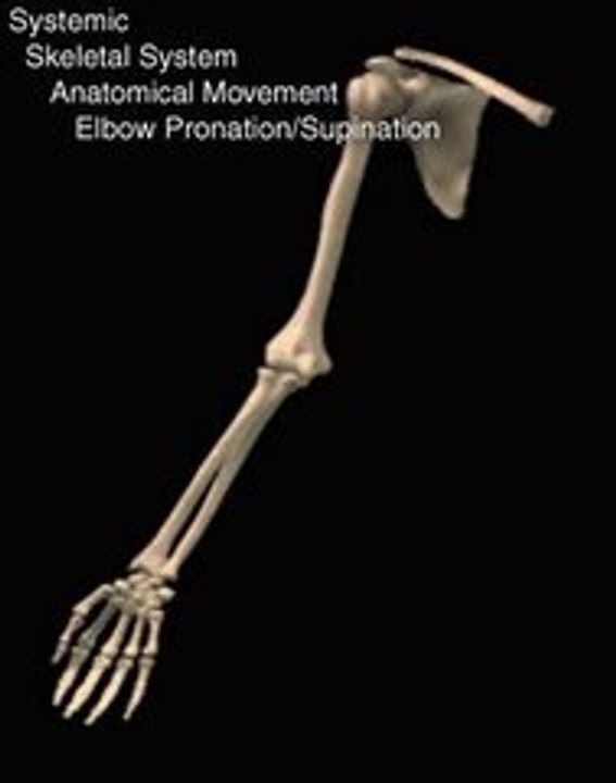 NurseReview.Org - Elbow Pronation Supination