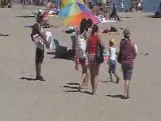 santa cruz S-club beach clean up