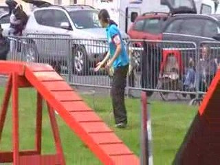 Sélectif Trophée M2-As