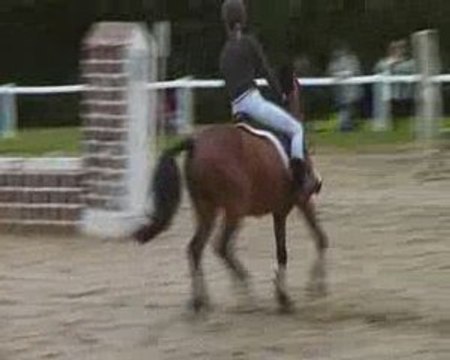 CSO Fauvettes Club 3 Sharane Magnum