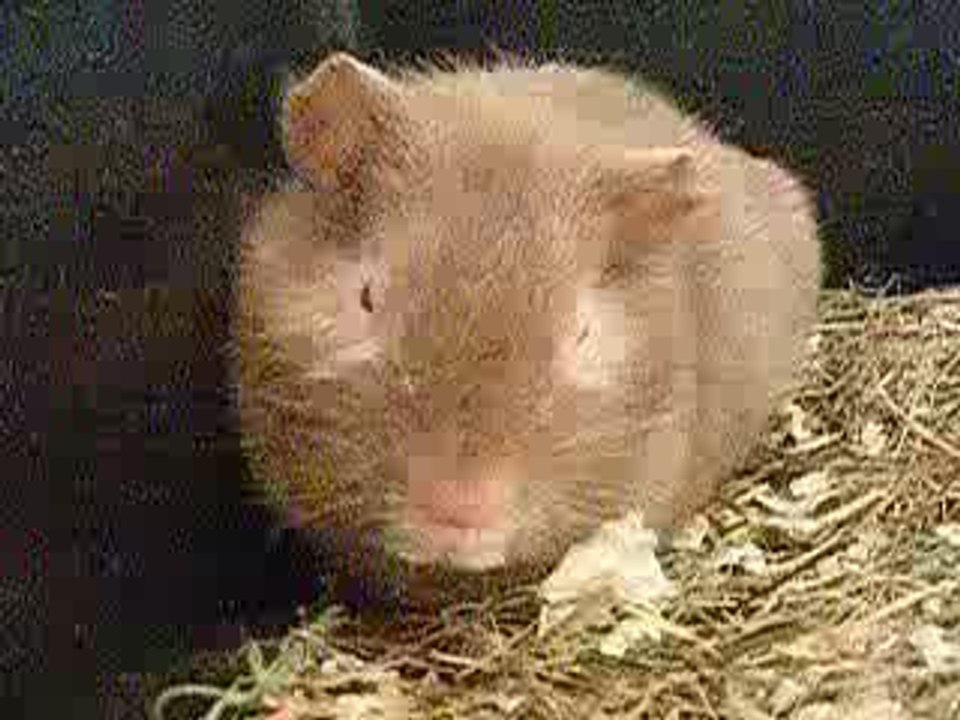 Photo 8302