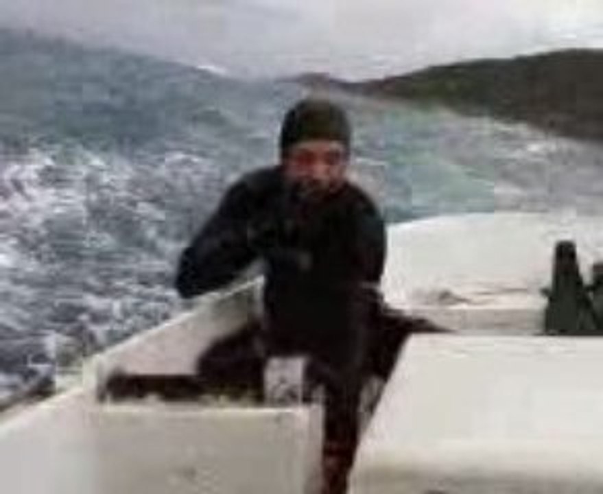 adapot fırtına