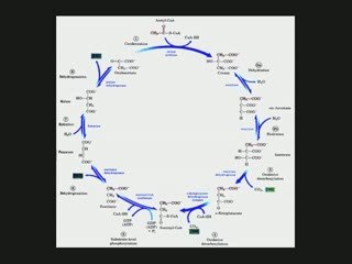 LLP - 07-10-14 - Message de l'eau 2