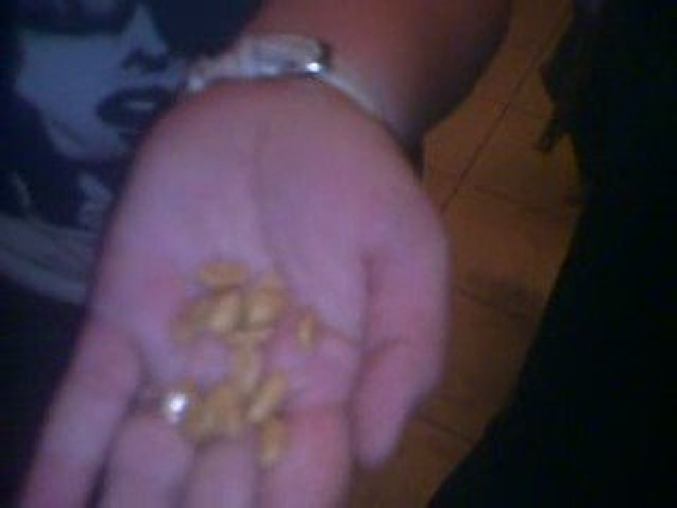 Cacahuètes avant la sixième