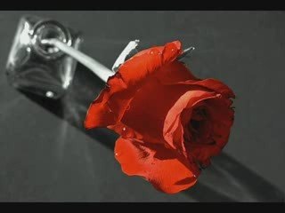 Aynaima Wedaje by Kuku Sebsibe 🎶 - Ethiopian Music Hit