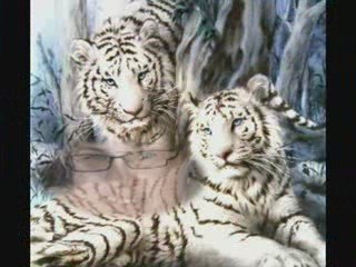 Mes amies et amis du blog