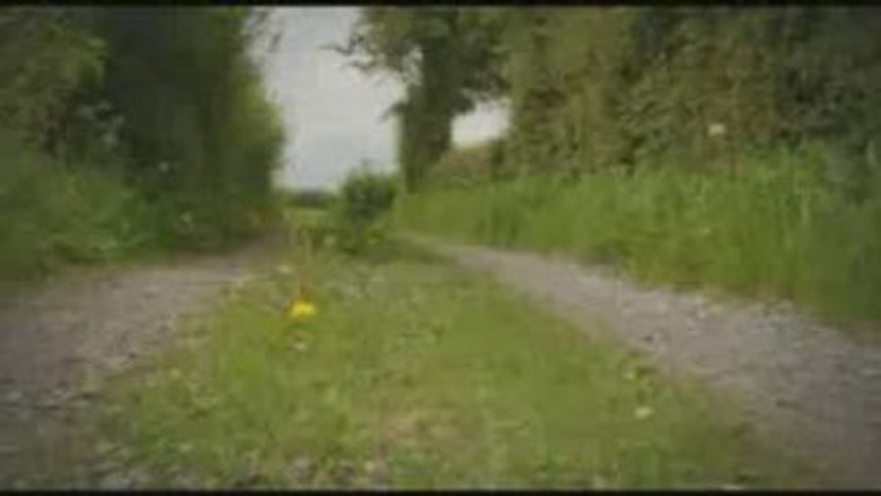 Rallye humain