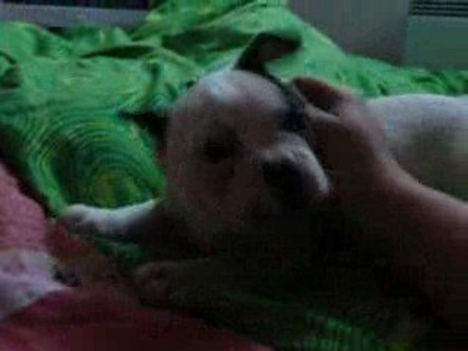 Exia a presk 2 mois