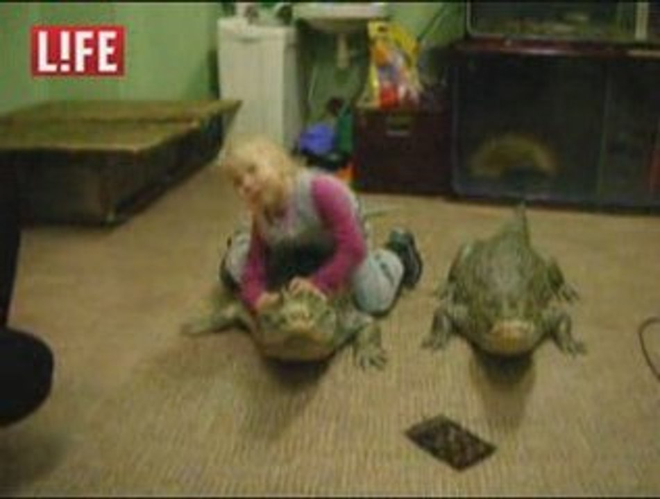 l'enfant et l'alligator