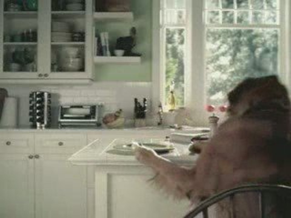 Brave chien