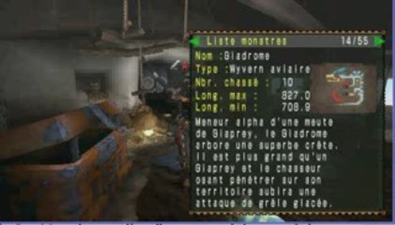 mon personnage le plus avancé dans MHF2