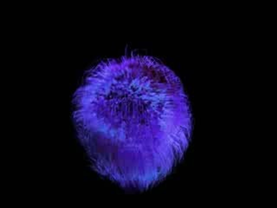 virus