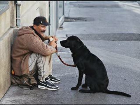 tunisie, tunisia, tounes, tunis, ayachi hammami