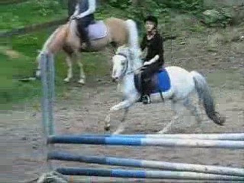 Laurie & son poney gris (L)