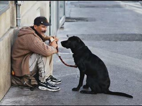 tunisie, tunisia, ayachi hammami, tounes, tunis