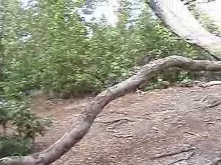 Vibrating branch in Ushuaia