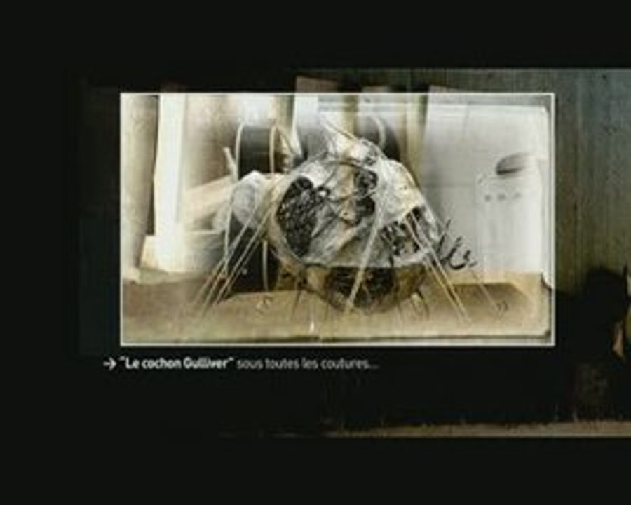 Cochon Gulliver