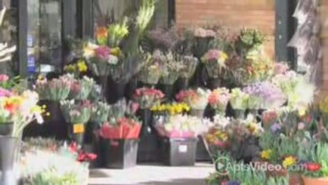 2121 Belmont Apartments For Rent in Portland, OR